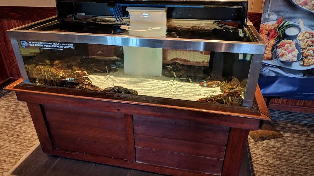 Red Lobster | restaurant | 1381 SW Loop 410, San Antonio, TX 78227, USA | 2106754550 OR +1 210-675-4550