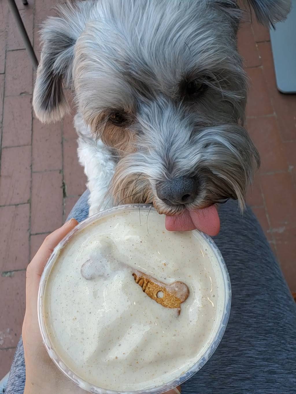 Rush Bowls | restaurant | 2811 Hillsborough St Suite 105, Raleigh, NC 27607, USA | 9197030006 OR +1 919-703-0006