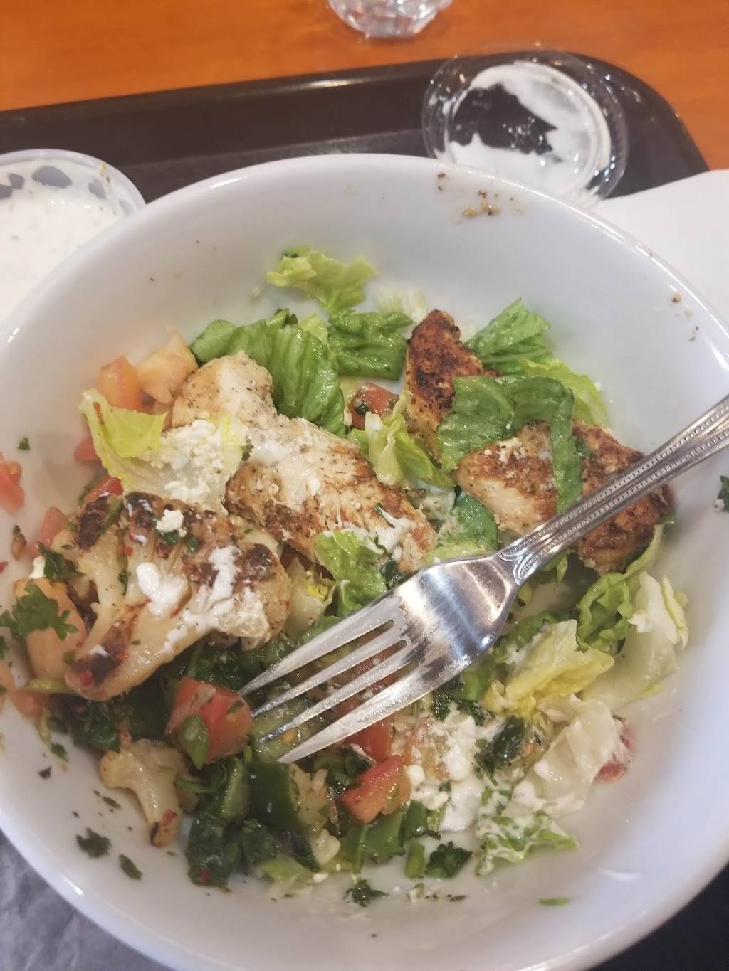 Kebab Gyros Pita bar | restaurant | 2288 Rosa L Parks Blvd, Nashville, TN 37228, USA | 6152564075 OR +1 615-256-4075