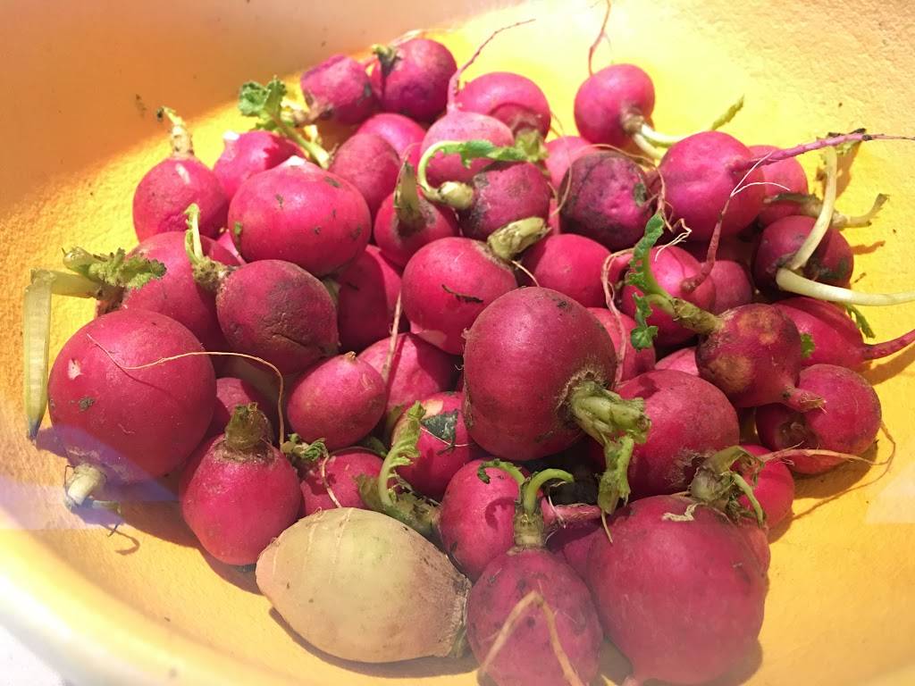 Tender Greens | restaurant | 201 Arizona Ave, Santa Monica, CA 90401, USA | 3105872777 OR +1 310-587-2777