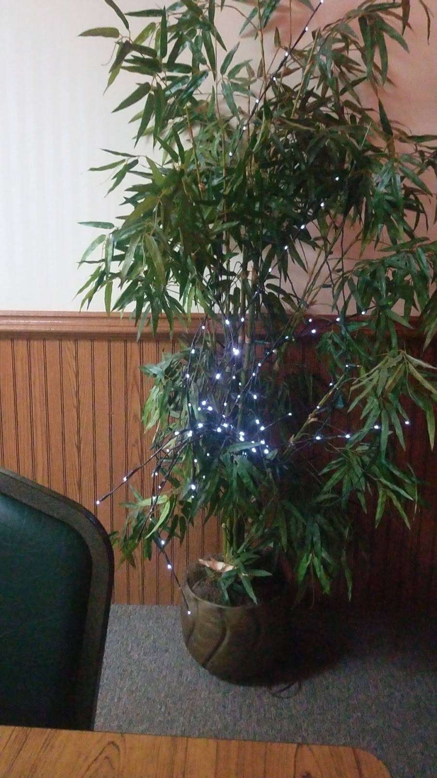 Village Inn | restaurant | 107 S Catherine St, Pickens, SC 29671, USA | 8648789170 OR +1 864-878-9170