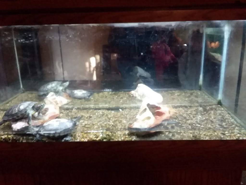 Debbie Wong | restaurant | 54 W Main St, Ware, MA 01082, USA | 4139673336 OR +1 413-967-3336