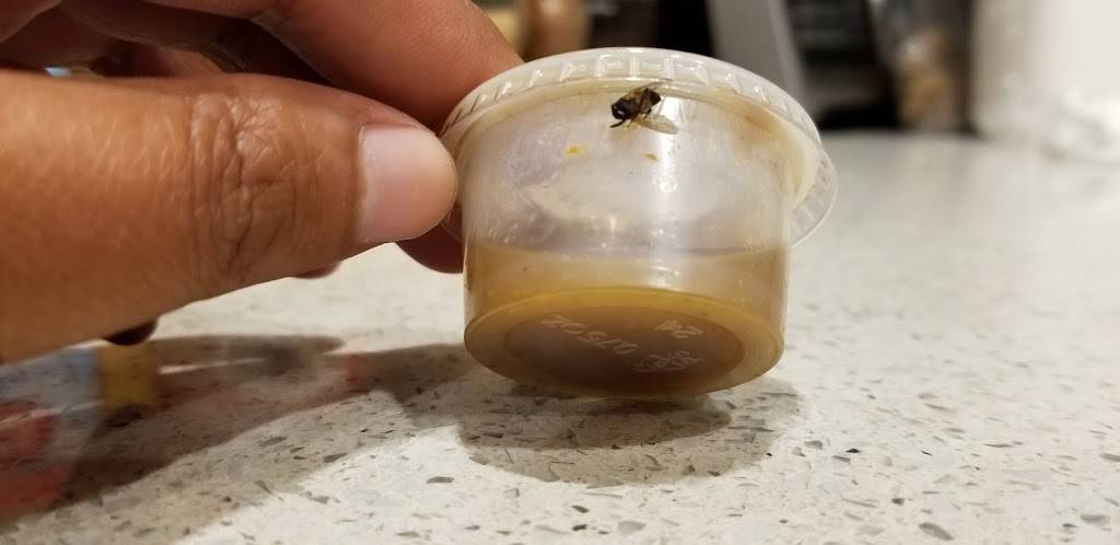 Kaieteur Express II | restaurant | 8808 183rd St, Jamaica, NY 11423, USA | 7185266251 OR +1 718-526-6251