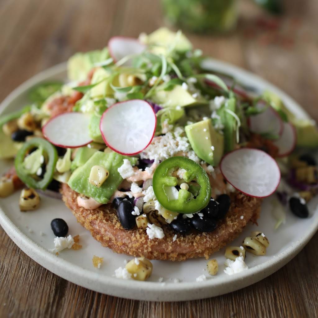 Lazy Dog Restaurant & Bar | restaurant | 1851 N Central Expy, Allen, TX 75013, USA | 4693934119 OR +1 469-393-4119