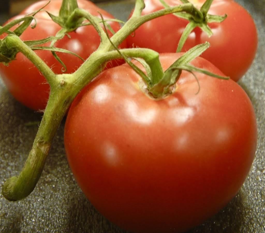 Dépanneur des Érables | meal takeaway | 112 Rue Francois-Branchaud, Maple Grove, QC J6N 1J6, Canada | 4504294355 OR +1 450-429-4355