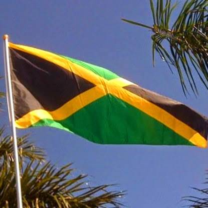 Jerk Kitchen | restaurant | 1334 W 87th St, Chicago, IL 60620, USA | 7738740481 OR +1 773-874-0481