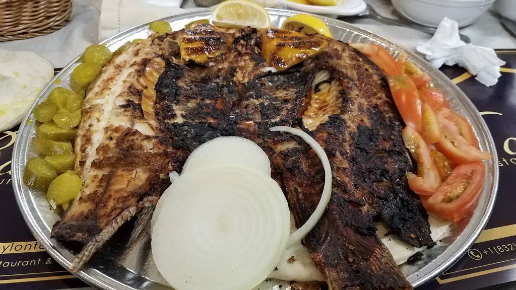 Babylon Restaurant &food services | restaurant | 2727 Fondren Rd #4B, Houston, TX 77063, USA | 8328318938 OR +1 832-831-8938