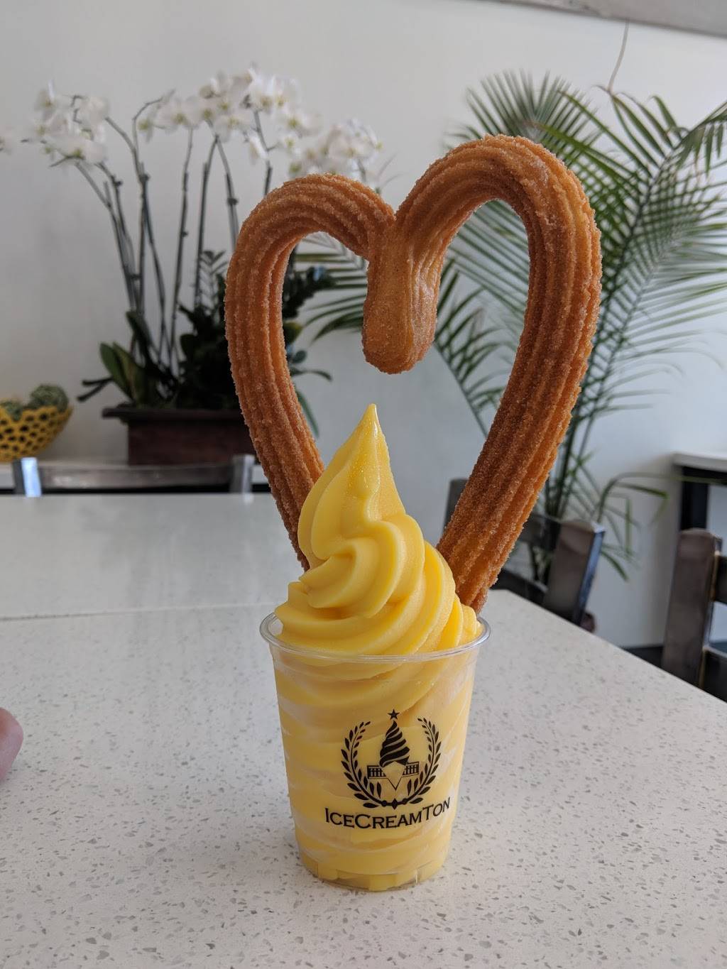 IceCreamTon | restaurant | 300, Pierside Pavilion, Pacific Coast Hwy suite 107b, Huntington Beach, CA 92648, USA | 6573290159 OR +1 657-329-0159