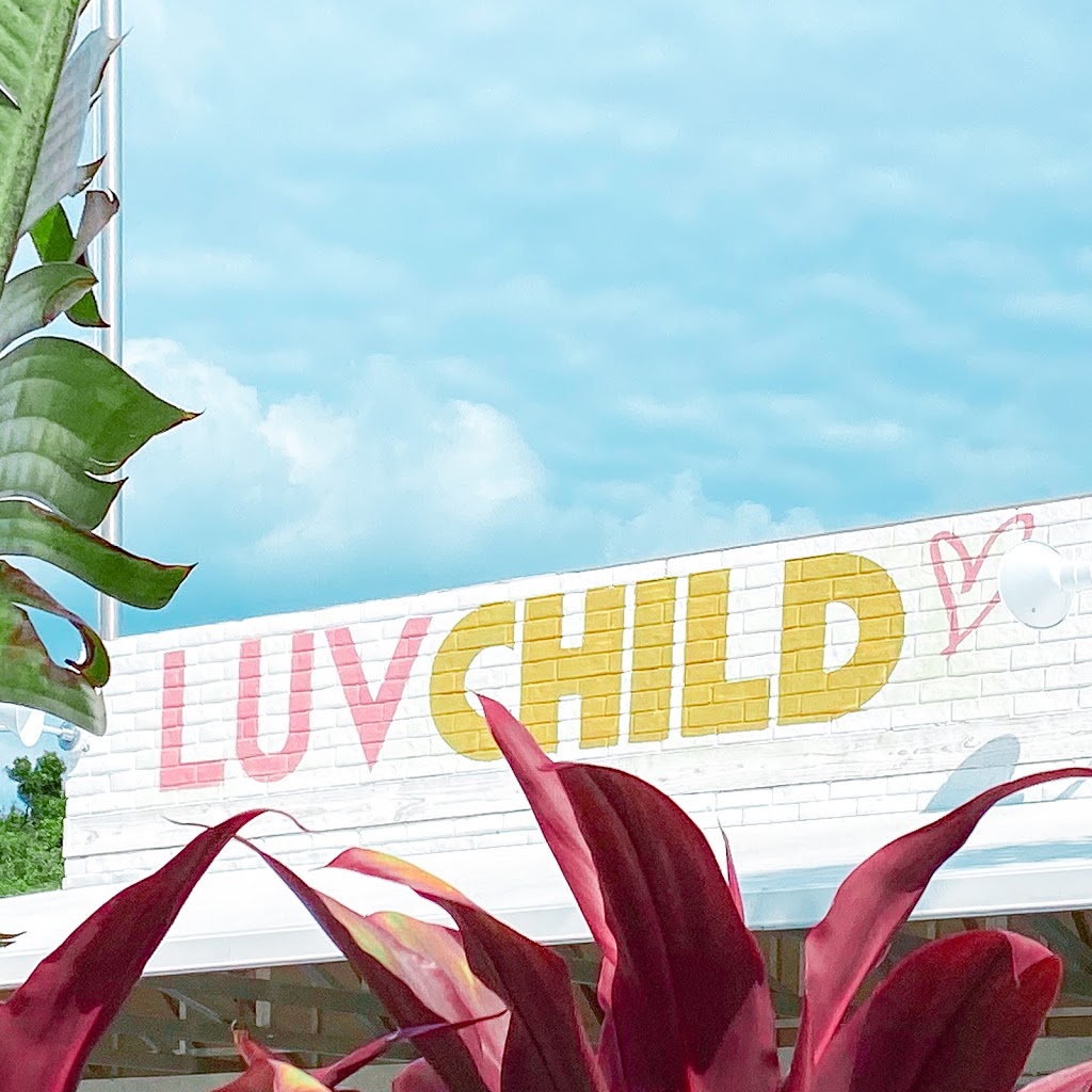 Luv Child | restaurant | 516 S Howard Ave, Tampa, FL 33609, USA | 8132130100 OR +1 813-213-0100