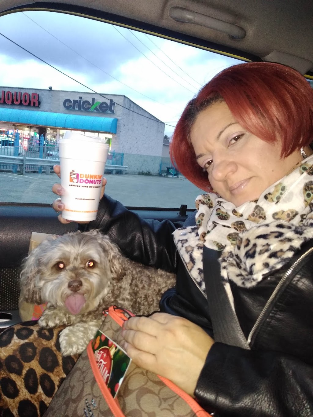 Baskin Robbins | bakery | 502 Mannheim Rd, Bellwood, IL 60104, USA | 7084015601 OR +1 708-401-5601