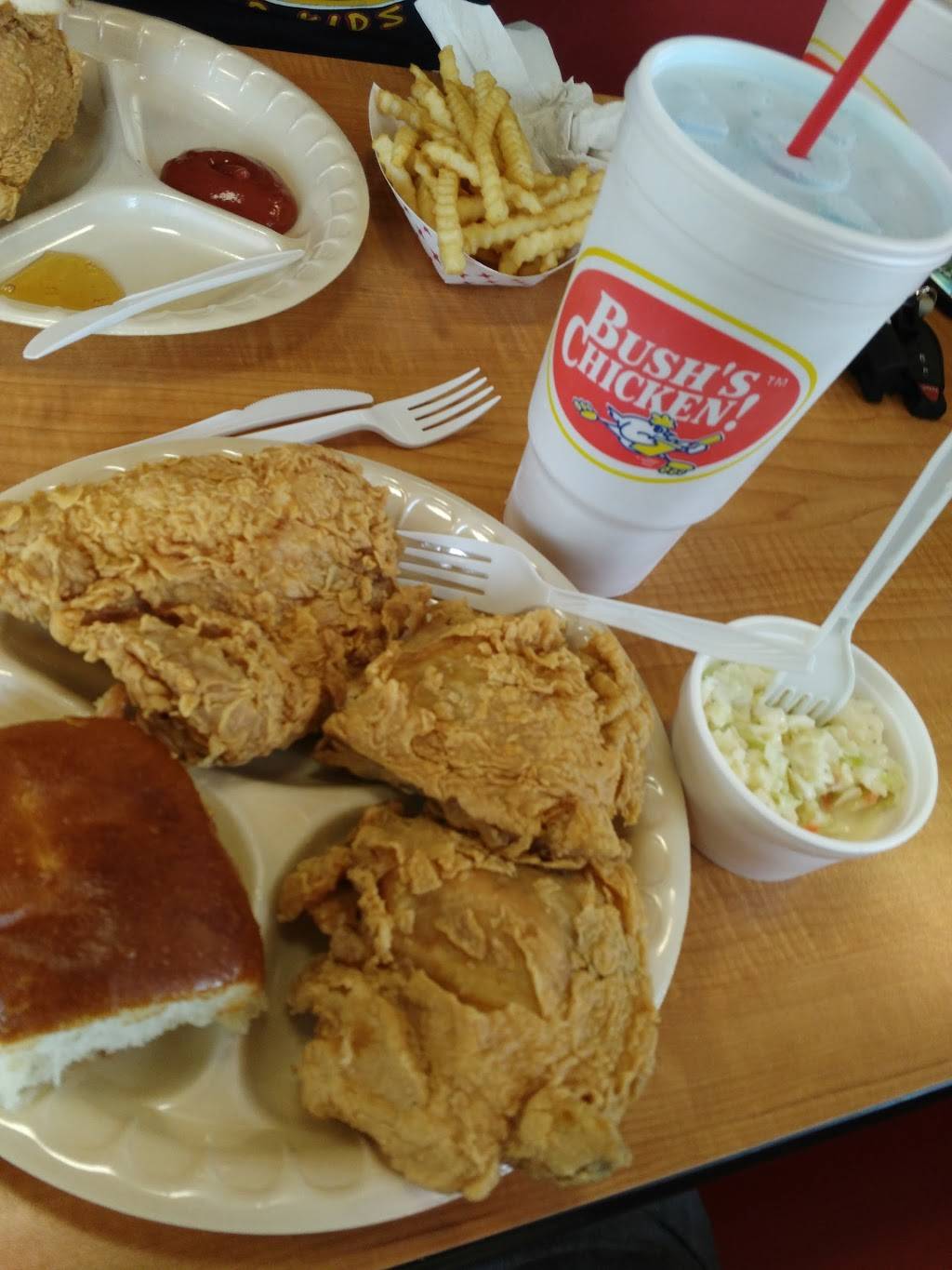 Bushs Chicken | restaurant | 935 Old US Hwy 90 E, Castroville, TX 78009, USA | 8305382800 OR +1 830-538-2800