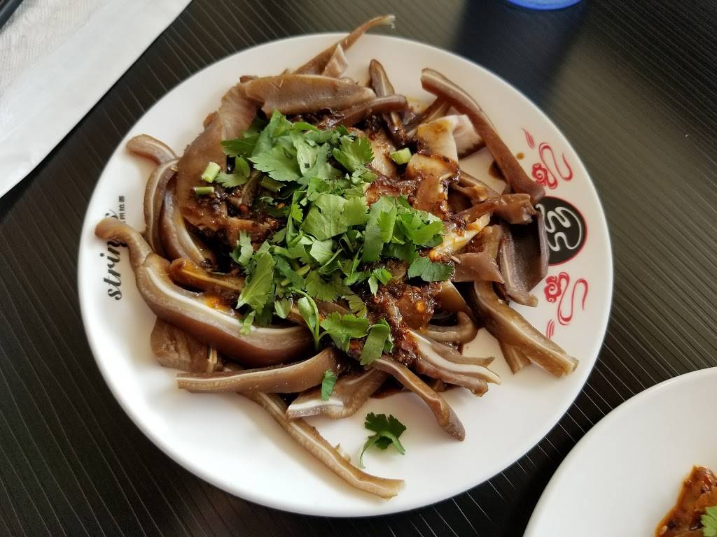 Strings Noodle 蘭州拉面 | restaurant | 9889 Bellaire Blvd d256, Houston, TX 77036, USA | 8322879643 OR +1 832-287-9643