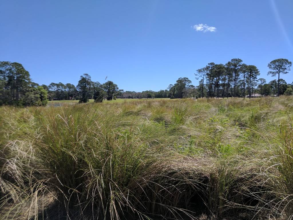 Pine Lakes Golf Club | restaurant | 400 Pine Lakes Pkwy, Palm Coast, FL 32164, USA | 3864450852 OR +1 386-445-0852