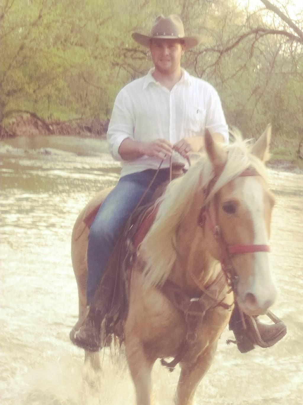 Dairy Queen | restaurant | 914 S Adams St, Versailles, IN 47042, USA | 8126894005 OR +1 812-689-4005