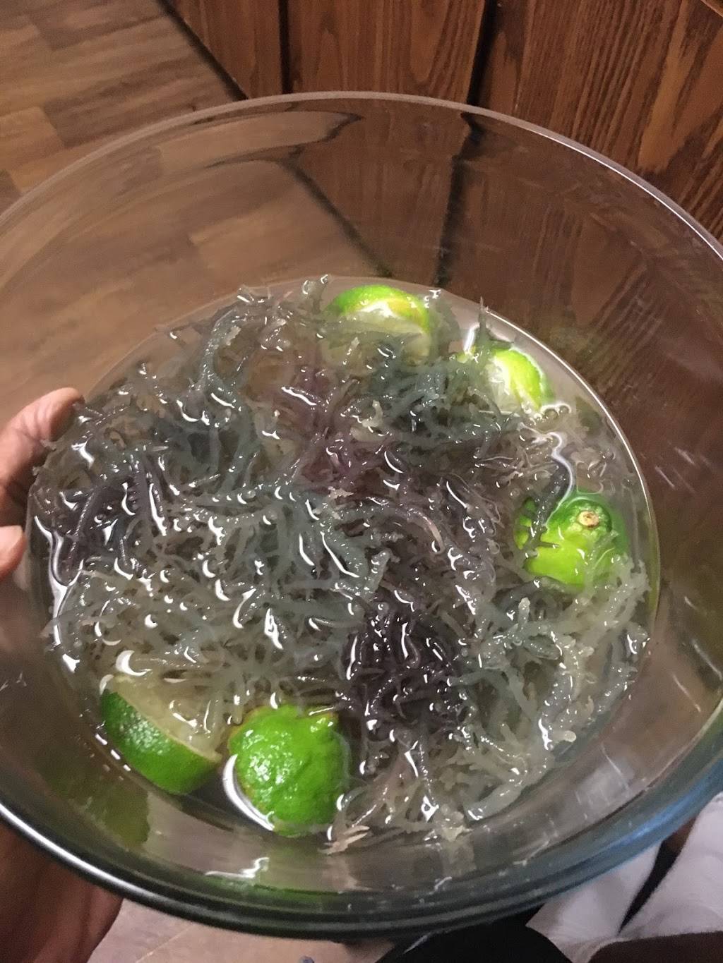 GRANDFIGLI LLC. Wildcrafted Sea Moss | restaurant | 3477 Marabou Mills Pl, Indianapolis, IN 46214, USA | 7653255441 OR +1 765-325-5441