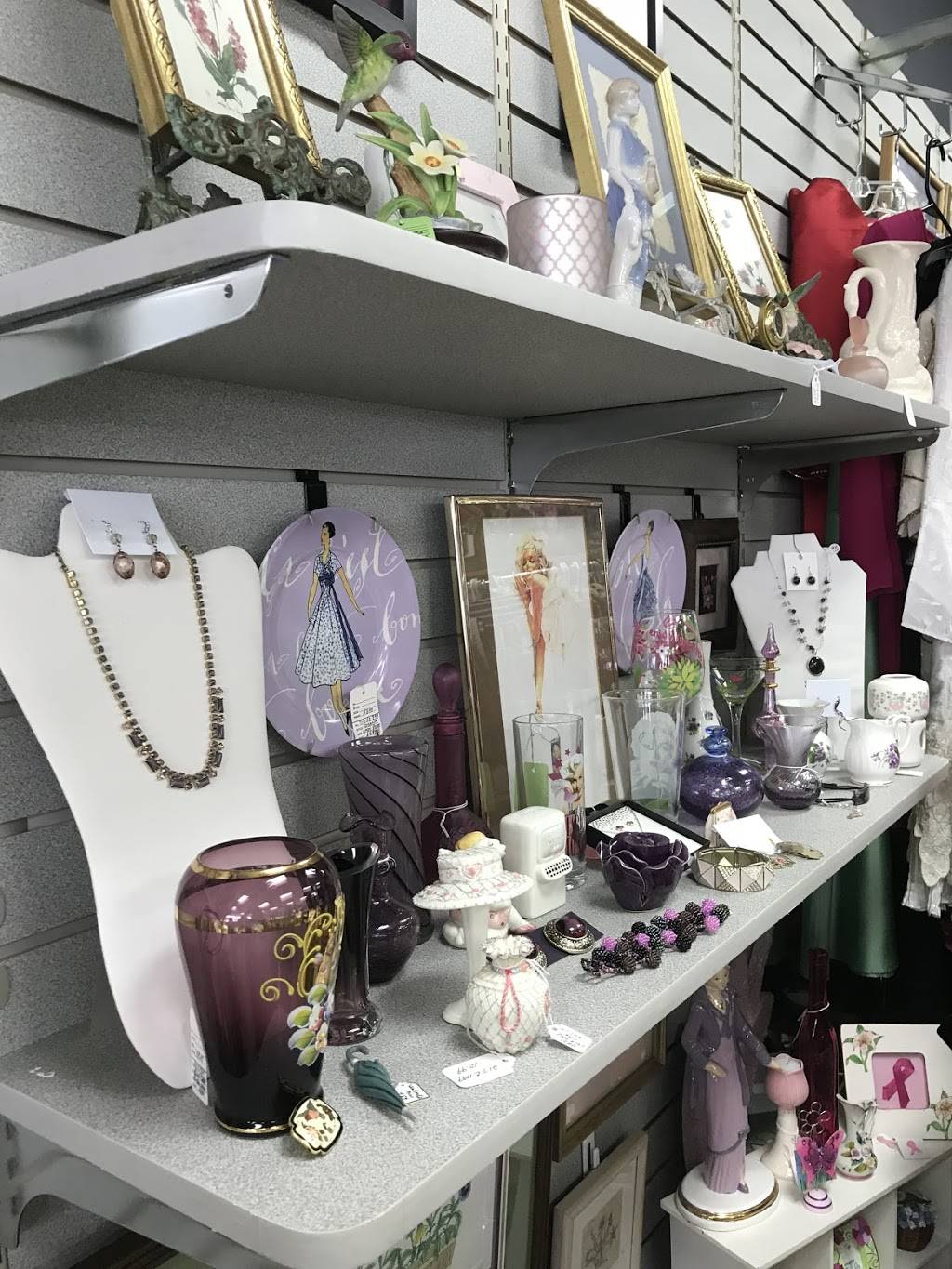 Animal Lovers Society Shoppe & Cafe | restaurant | 5482 W Sample Rd, Margate, FL 33073, USA | 9542632613 OR +1 954-263-2613