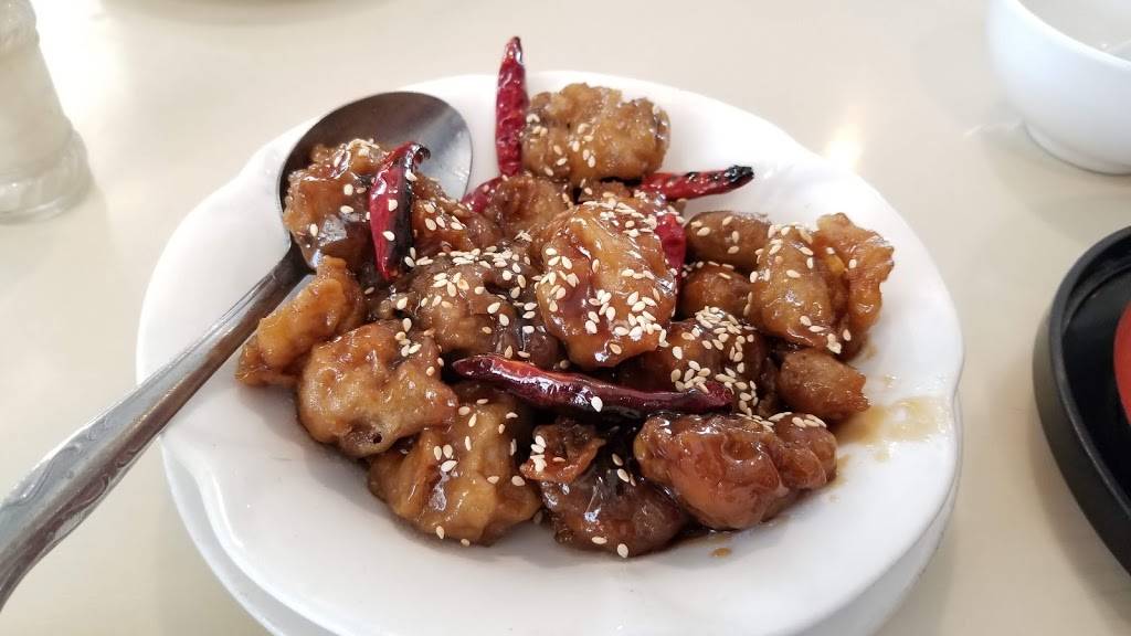 Bodhi Veggie Cuisine | restaurant | 3643 Rosemead Blvd, Rosemead, CA 91770, USA | 6265699888 OR +1 626-569-9888