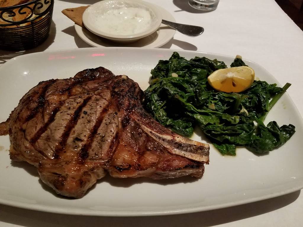 Opa Grille | restaurant | 432 Hillside Avenue, Williston Park, NY 11596, USA | 5163079966 OR +1 516-307-9966