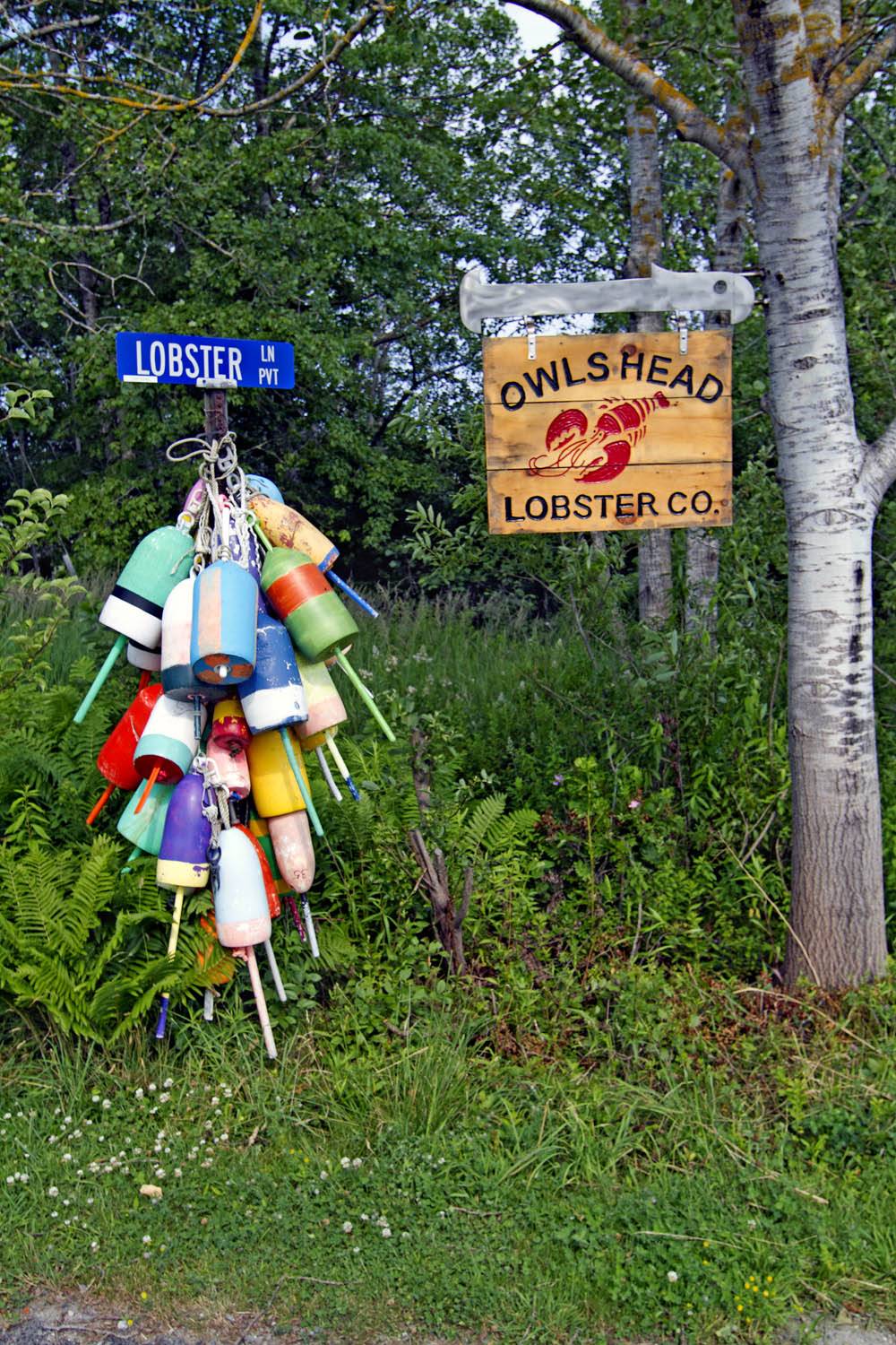 Owls Head Lobster Co | restaurant | Owls Head, ME 04854, USA | 2075940679 OR +1 207-594-0679