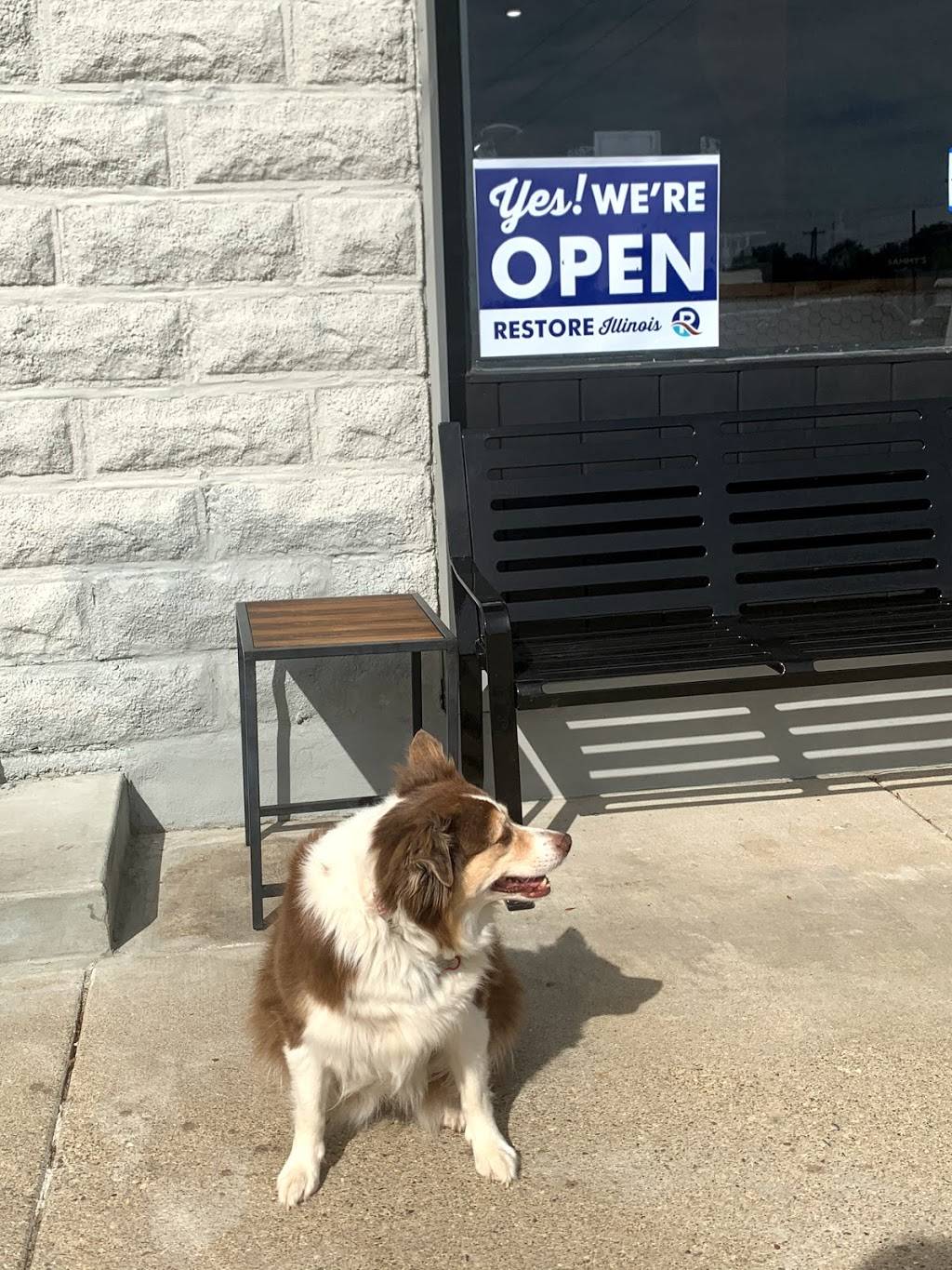 Sammy’s Smoothie Bar | restaurant | 109 N Cross St, Robinson, IL 62454, USA | 6184691005 OR +1 618-469-1005