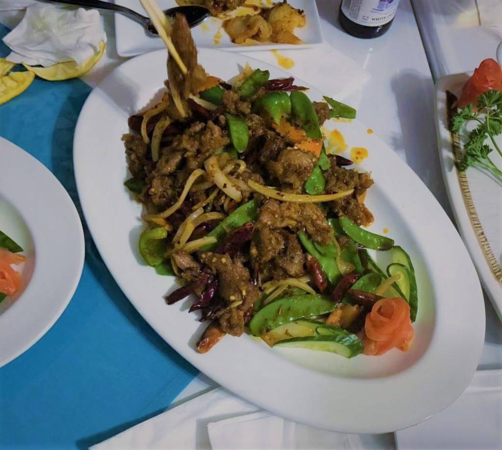 Webster Wok | restaurant | 8162 Big Bend Blvd, St. Louis, MO 63119, USA | 3149615999 OR +1 314-961-5999