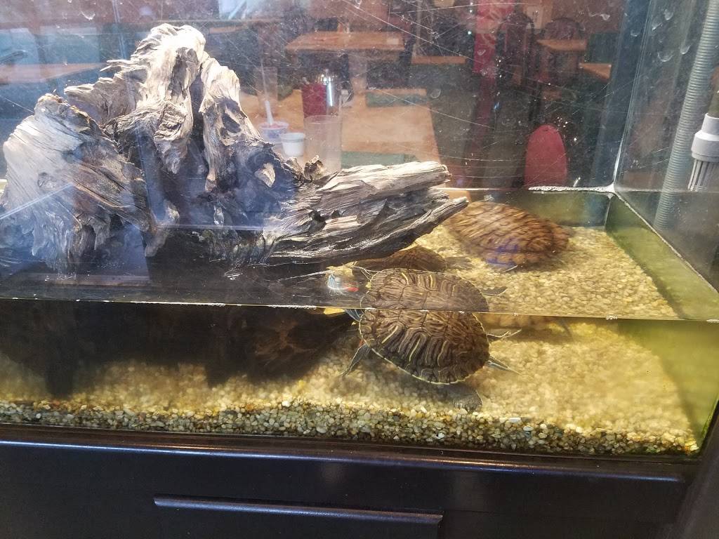 Dragon Island | restaurant | 535 Market St, Colusa, CA 95932, USA | 5304584111 OR +1 530-458-4111