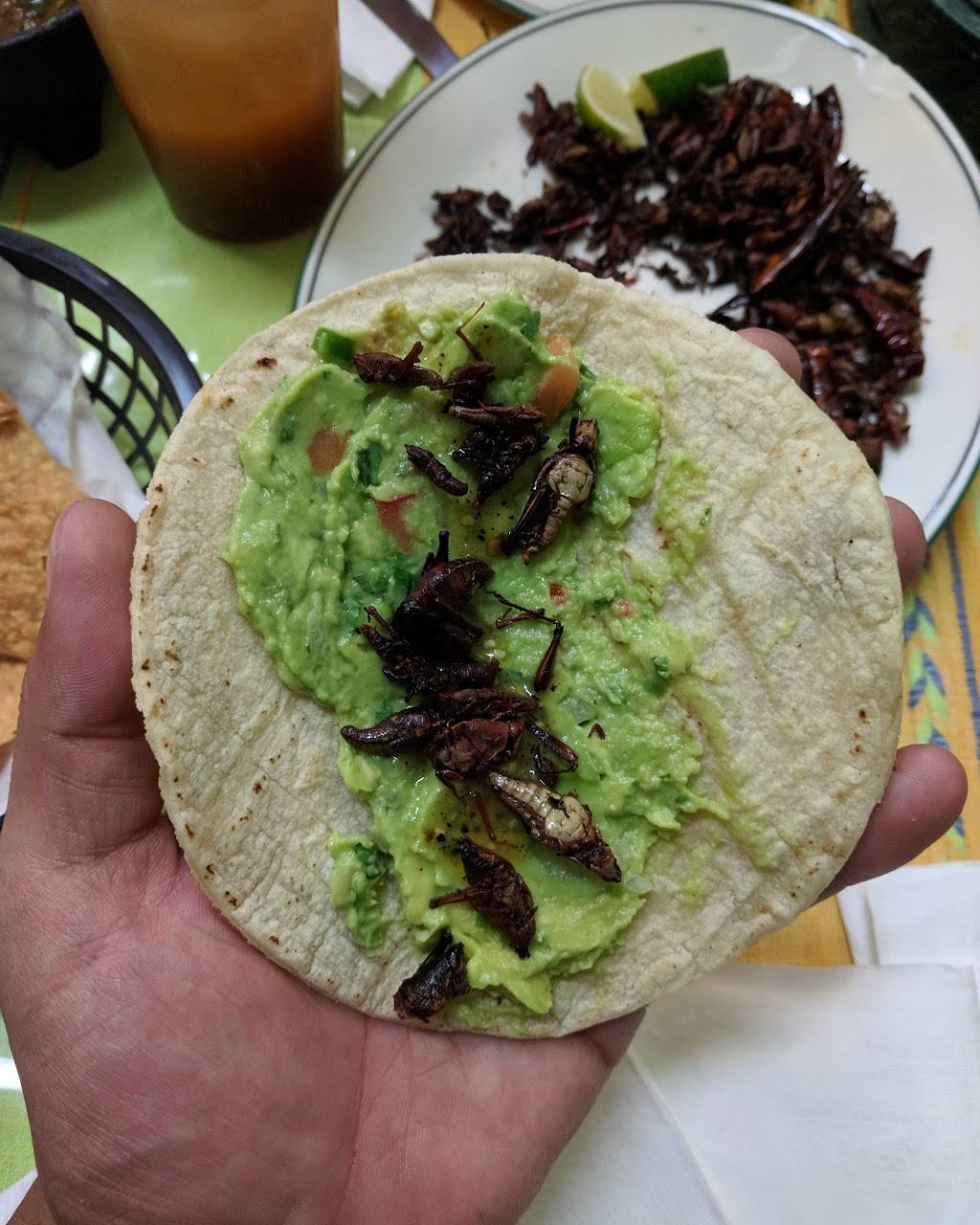 Sabores Oaxaquenos | restaurant | 3337 1/2 W 8th St, Los Angeles, CA 90005, USA | 2134105133 OR +1 213-410-5133