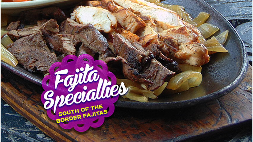 El Palenque Mexican Restaurant & Cantina | restaurant | 1485 Spring Cypress Rd, Spring, TX 77373, USA | 2813534055 OR +1 281-353-4055