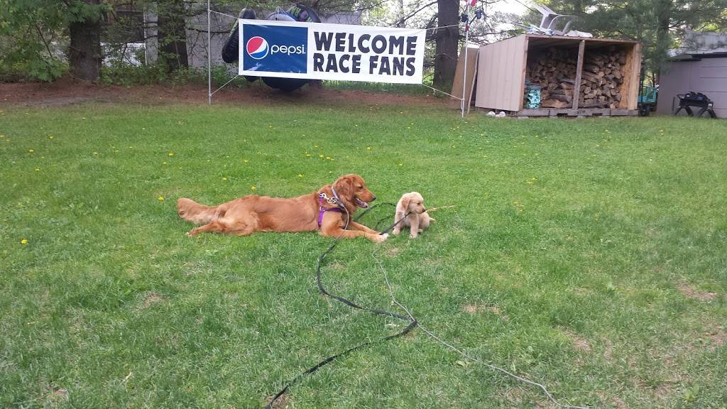 Blue Anchor Restaurant & Motel Cabins | restaurant | 12215 NY-28, Poland, NY 13431, USA | 3158265990 OR +1 315-826-5990