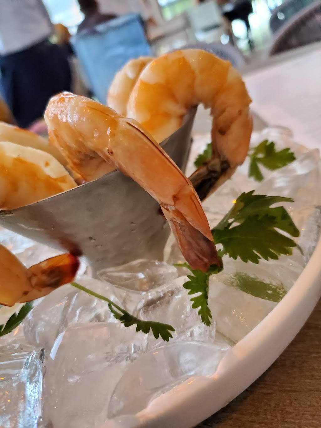 Oceanic | restaurant | 250 N Pompano Beach Blvd, Pompano Beach, FL 33062, USA | 9543663768 OR +1 954-366-3768