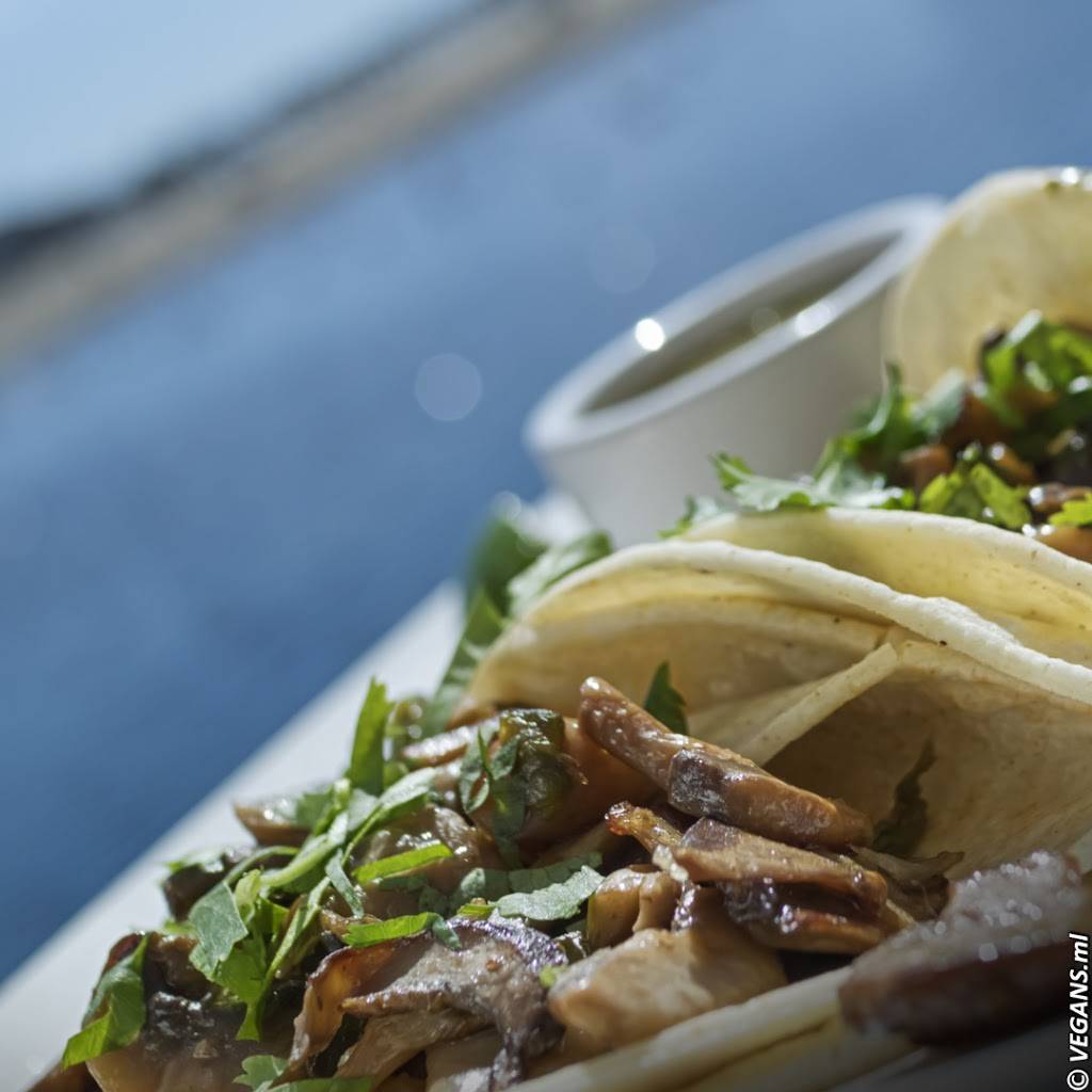 Margaritaville | restaurant | 231 Esplanade, Capitola, CA 95010, USA | 8314762263 OR +1 831-476-2263