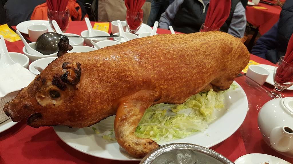 Season | restaurant | 1321 Avenue U, Brooklyn, NY 11229, USA | 7189988980 OR +1 718-998-8980