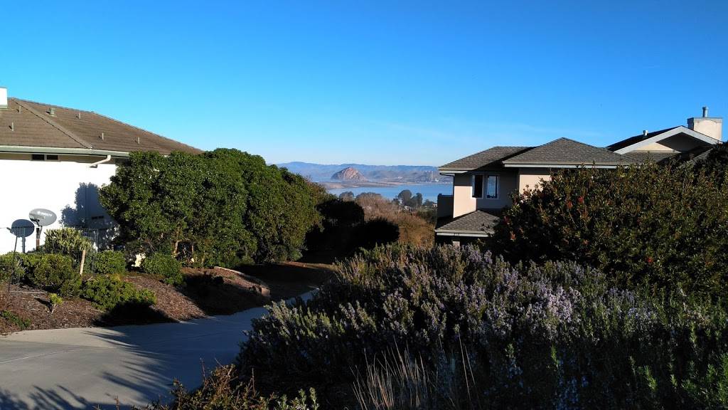 Jack in the Box | restaurant | 917 Academy Dr, Thousand Oaks, CA 91320, USA | 8052414932 OR +1 805-241-4932