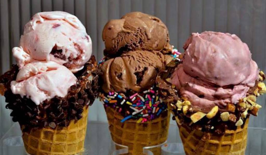 Yummy Dogs | restaurant | 577 Deltona Blvd, Deltona, FL 32725, USA | 3862599729 OR +1 386-259-9729