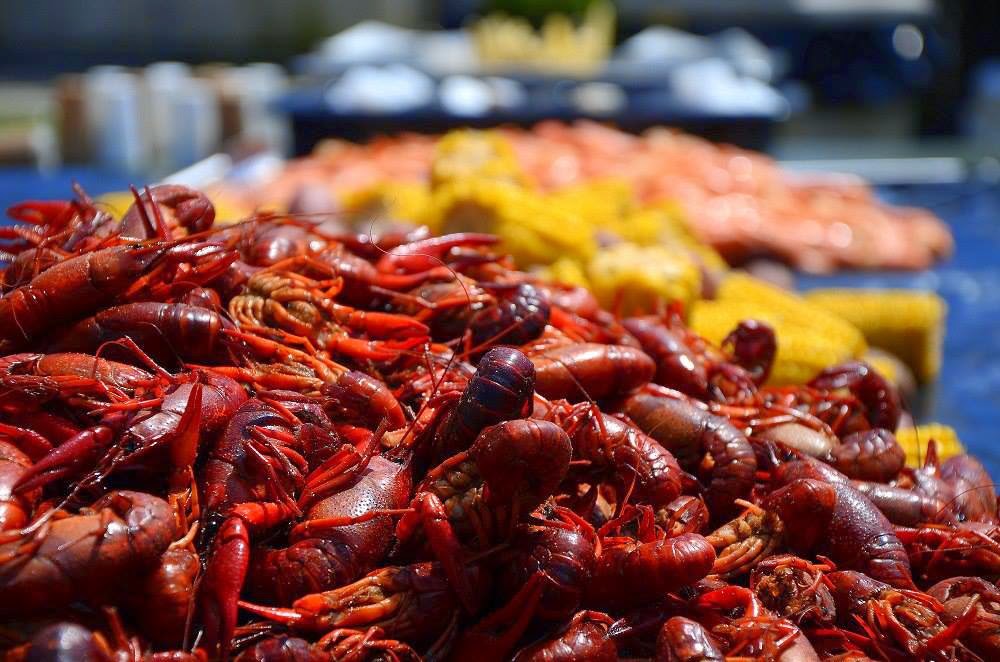 The Undertow | restaurant | 25025 Canal Rd, Orange Beach, AL 36561, USA | 2519813331 OR +1 251-981-3331