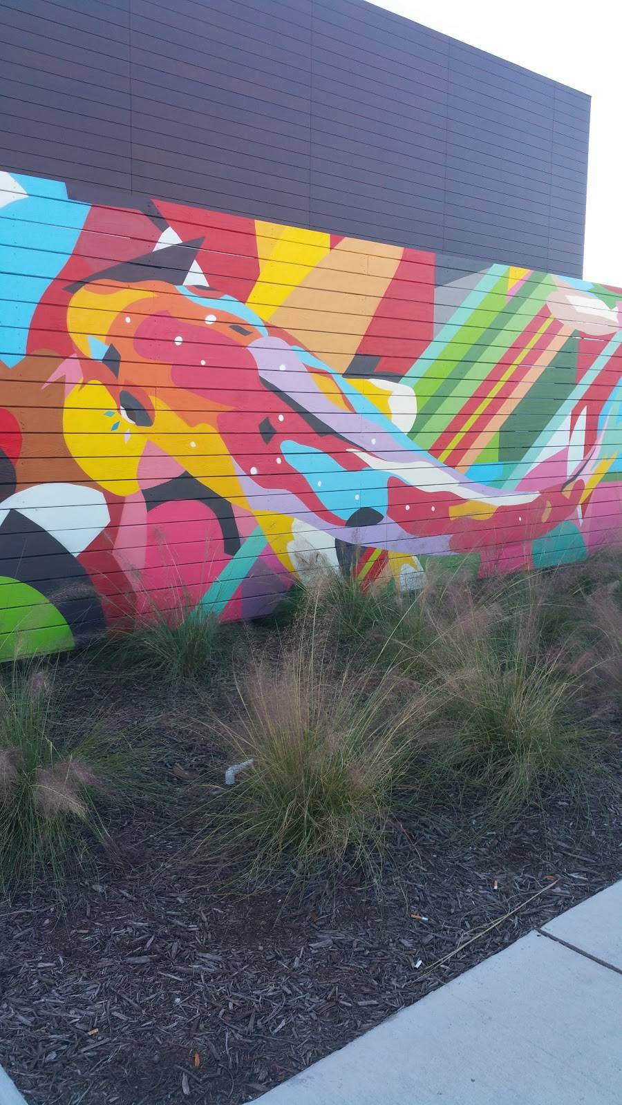 Burrito Gallery Gate Parkway | restaurant | 5016 Gate Pkwy Suite #1, Jacksonville, FL 32256, USA | 9045038425 OR +1 904-503-8425