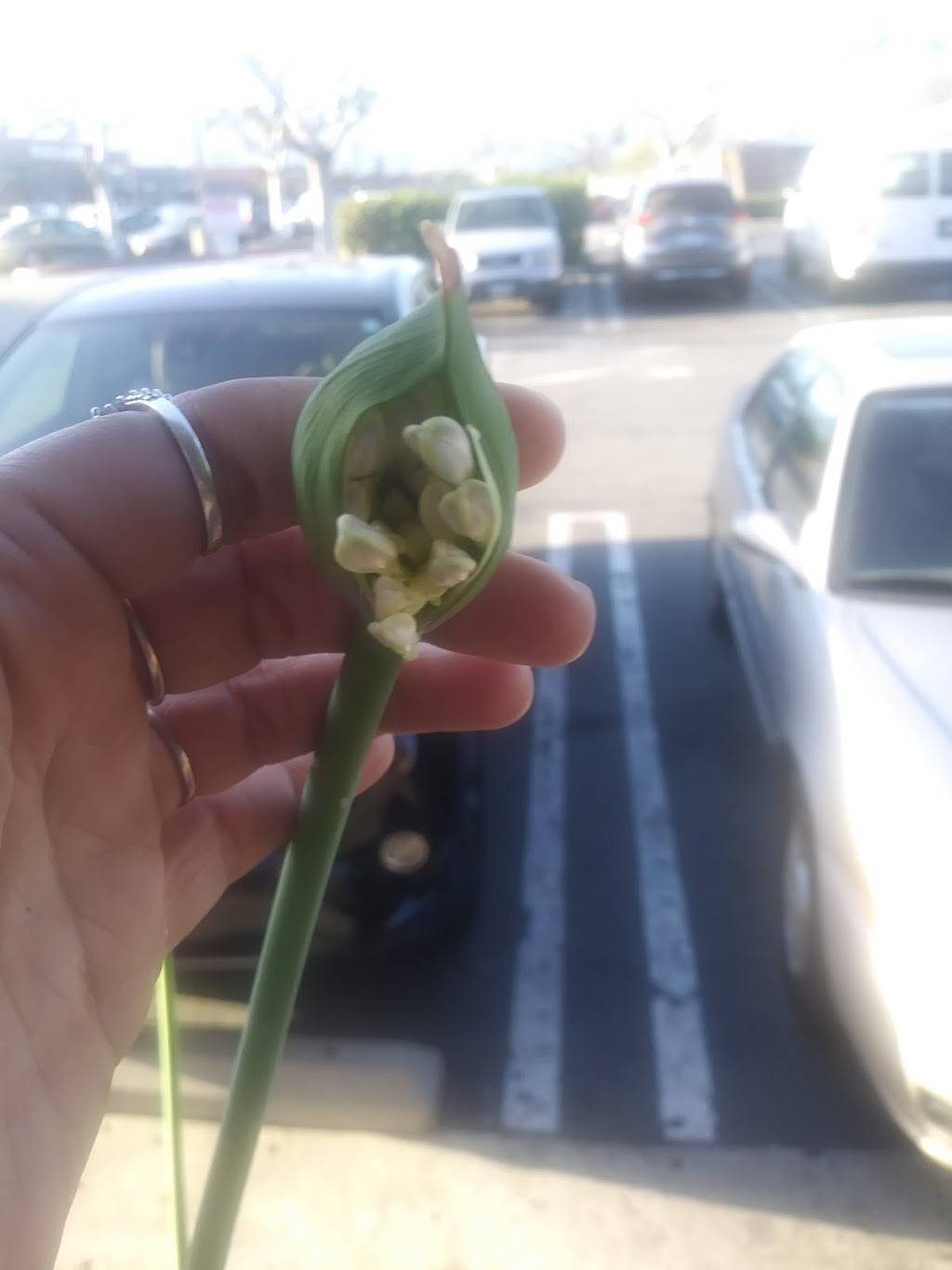 L & L Hawaiian BBQ | restaurant | 323 N Azusa Ave, West Covina, CA 91791, USA | 6267322221 OR +1 626-732-2221