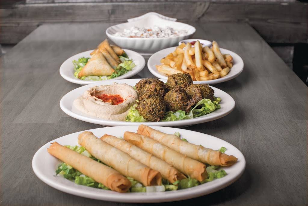 Blu Turkish Restaurant | restaurant | 1811 Emmons Ave, Brooklyn, NY 11235, USA | 7185136585 OR +1 718-513-6585