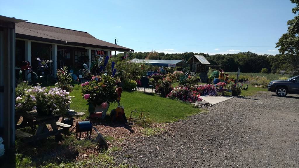 Sticks-N-Stones | restaurant | 21723 W Cannonsville Rd, Pierson, MI 49339, USA | 6166368677 OR +1 616-636-8677