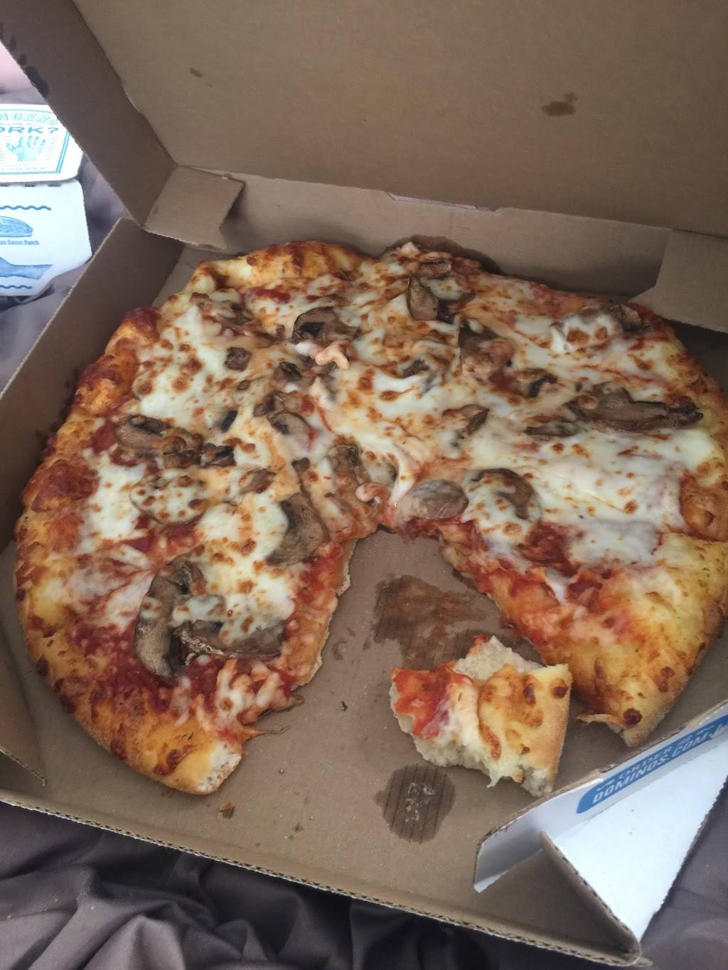 Dominos Pizza | meal delivery | 10501 Market St Ste B, Houston, TX 77029, USA | 7136753030 OR +1 713-675-3030