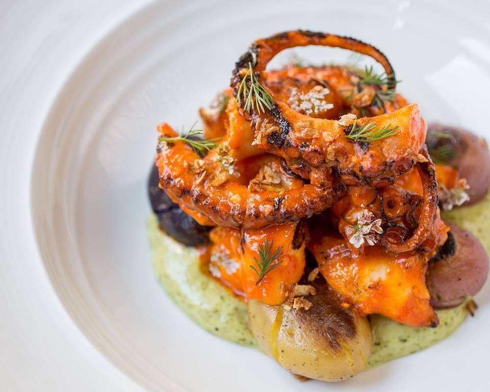 Havana Cigar Lounge | night club | 9707 District North Dr #1110, Fishers, IN 46037, USA | 3175977777 OR +1 317-597-7777