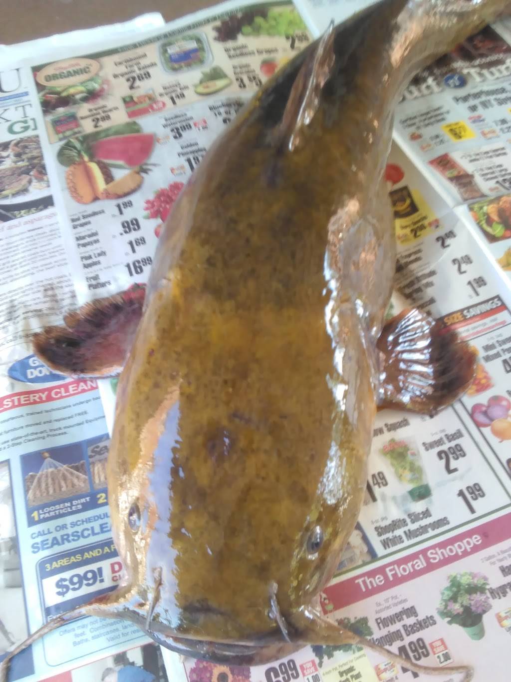 J J Grocery & Deli | restaurant | 1015 Leeds Ave, Baltimore, MD 21229, USA | 4102429211 OR +1 410-242-9211