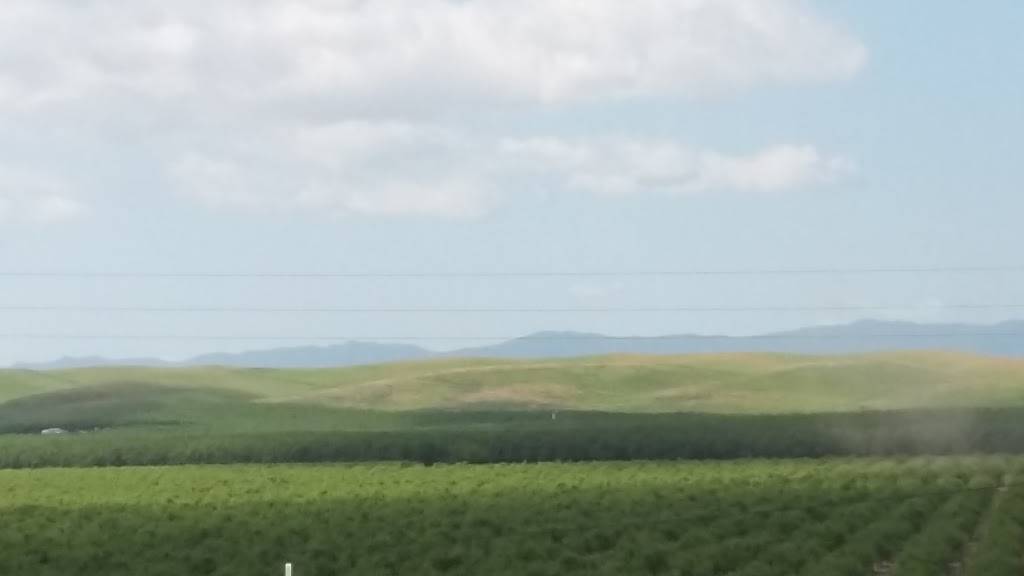 Shell | restaurant | 9920 Co Rd 99W, Zamora, CA 95698, USA | 5306625551 OR +1 530-662-5551