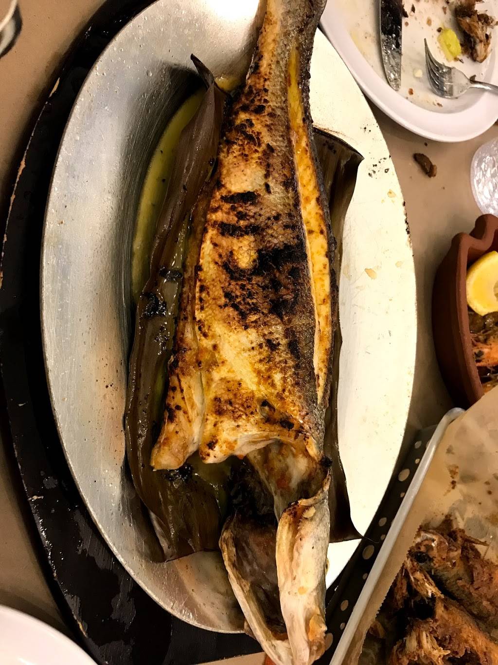 Hamido Seafood | restaurant | 3308 Ditmars Blvd, Astoria, NY 11105, USA | 7185452200 OR +1 718-545-2200