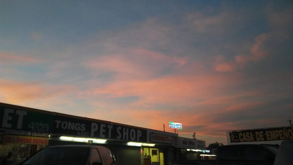 Kings Express | restaurant | 4333 Vermont Ave, Los Angeles, CA 90037, USA | 3232313888 OR +1 323-231-3888