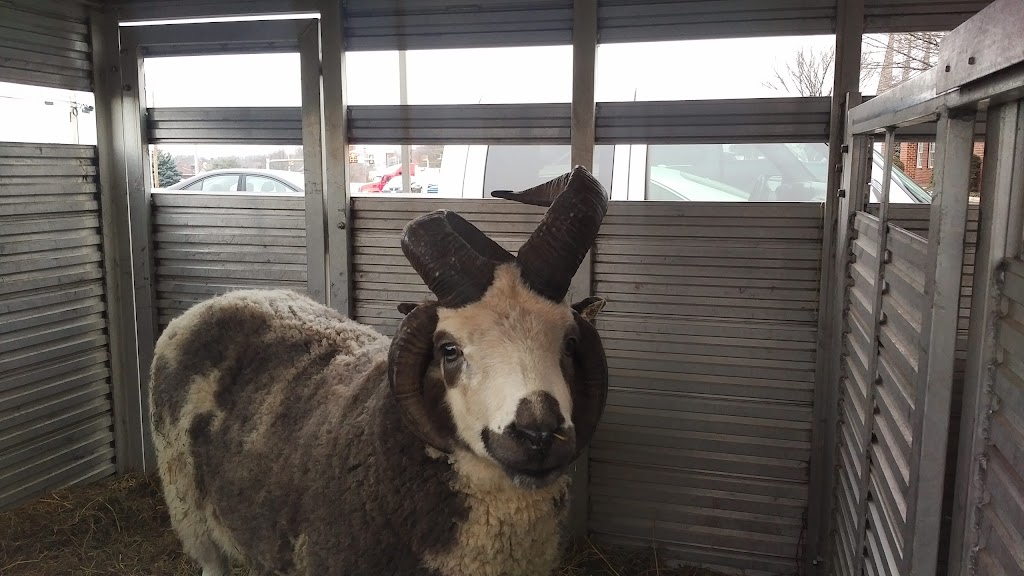 Franconia Square Cafe & Market | restaurant | 513 Allentown Rd, Souderton, PA 18964, USA | 2157211525 OR +1 215-721-1525