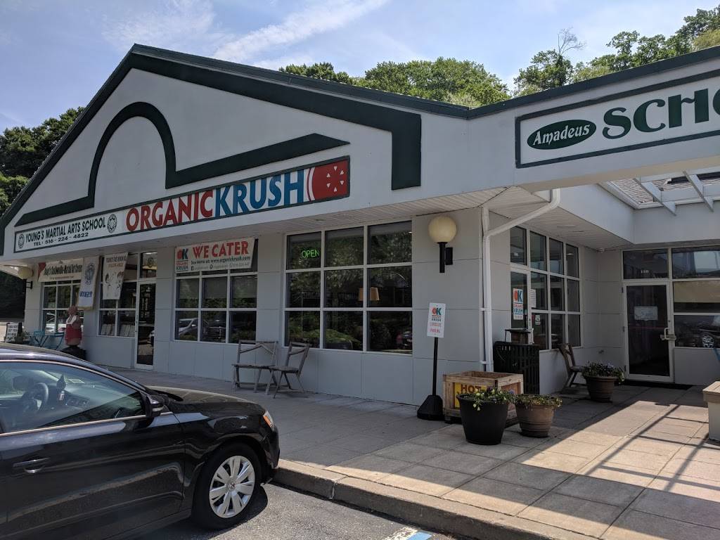 Organic Krush | restaurant | 108 Woodbury Rd, Woodbury, NY 11797, USA | 5162244423 OR +1 516-224-4423