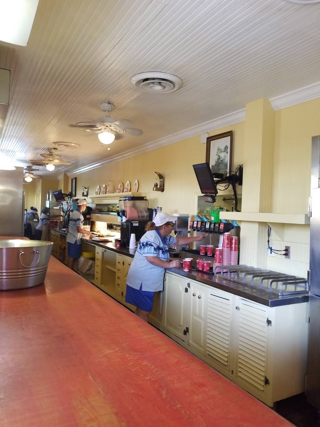 Leaning Palms | night club | Disneys Typhoon Lagoon, Orlando, FL 32830, USA | 4079393463 OR +1 407-939-3463