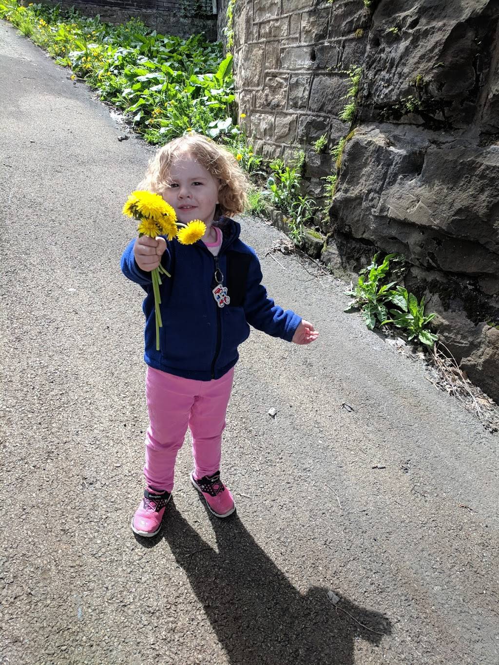 Fiddles Restaurant | restaurant | 101 Bridge St, Brownsville, PA 15417, USA | 7247852020 OR +1 724-785-2020