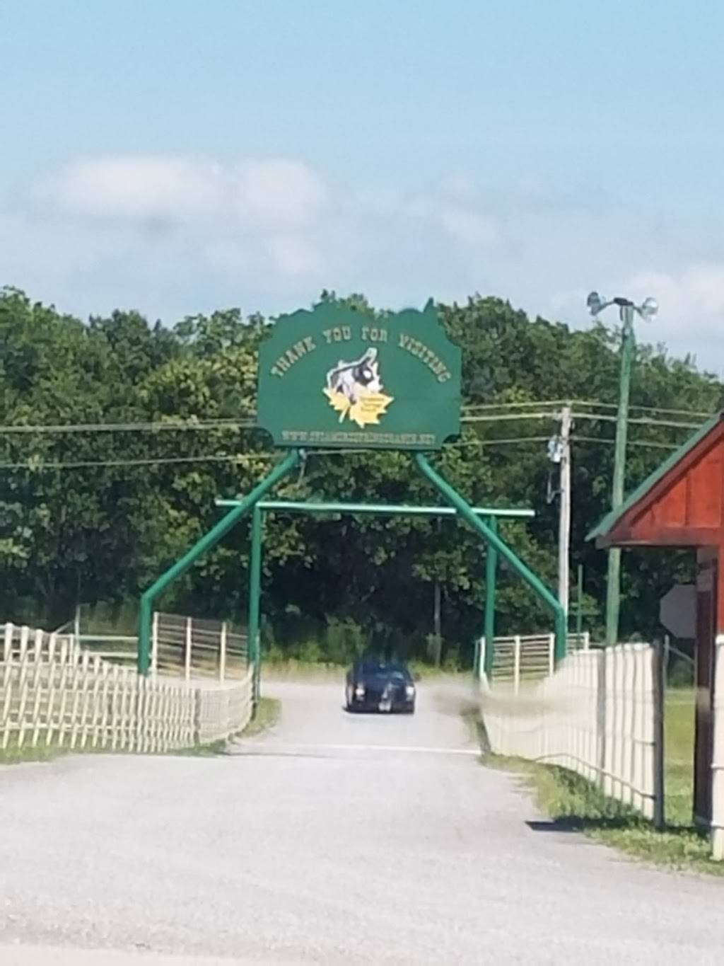 Los Ranchos | restaurant | S442 Rd, Locust Grove, OK 74352, USA | 9185983310 OR +1 918-598-3310